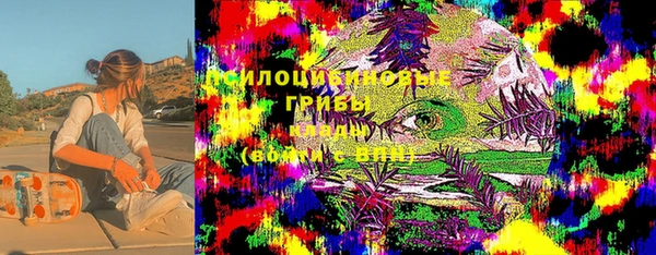 PSILOCYBIN Нефтегорск
