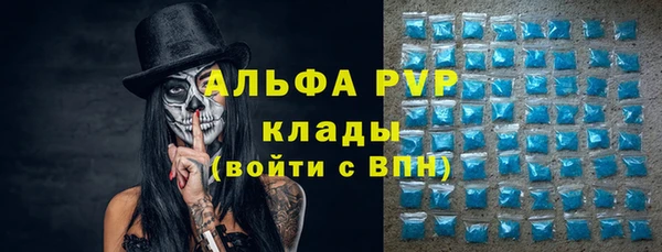 PSILOCYBIN Нефтегорск