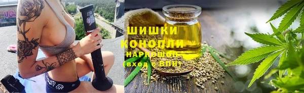индика Алагир