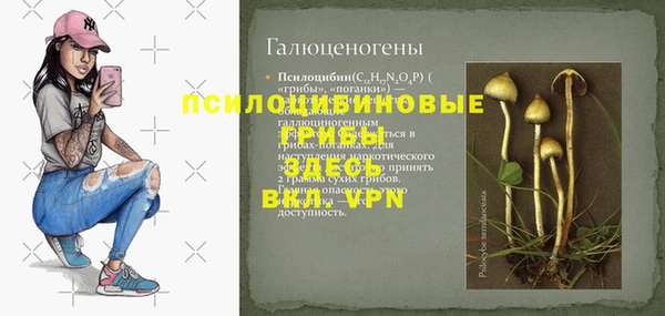 PSILOCYBIN Нефтегорск