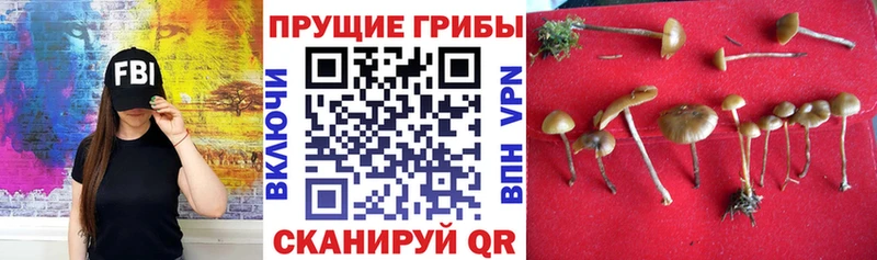 закладки  Берёзовский  Псилоцибиновые грибы мухоморы 